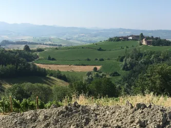 Eine malerische Hügellandschaft mit grünen Feldern und sanften Hügeln. Im Hintergrund sind einige Gebäude und Bäume sichtbar.