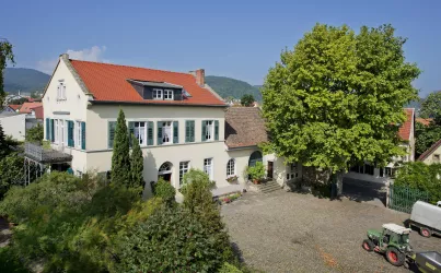 Weingut Stolleis (© torstensilz.de)