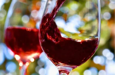 Rote Flüssigkeit wird in ein Weinglas gegossen. Im Hintergrund sind unscharfe, grüne Blätter sichtbar.