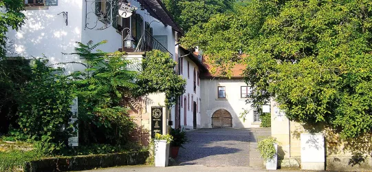 Weingut Schäffer © Weingut Schäffer