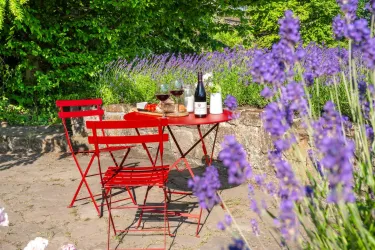 Ein roter Tisch mit Stühlen steht in einem Garten, umgeben von lila Lavendel. Auf dem Tisch sind Wein und Snacks dekoriert.