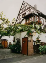 Ansicht ©Weingut Gutting