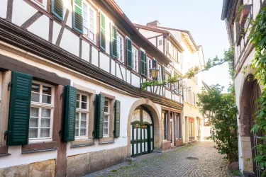 Eine gemütliche Straße mit Fachwerkhäusern und grünen Fensterläden. Das Licht der Abendsonne beleuchtet die steinerne Pflasterung.