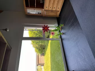 Weitblick aus dem Wohnzimmer