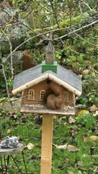 Ein niedliches Eichhörnchen sitzt auf einem Vogelhaus in einem Garten. Im Hintergrund sind grüne Pflanzen und herbstliche Blätter sichtbar.