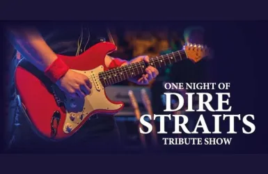 Ein Musiker spielt E-Gitarre bei einer Tribute-Show für Dire Straits. Die Atmosphäre ist lebhaft und musikalisch.