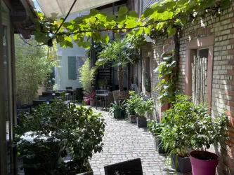 Ein gemütlicher Gehweg zwischen Pflanzen und Bäumen. Der Bereich ist gut beleuchtet und hat eine entspannte Atmosphäre.