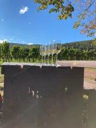 Ein Weinberg mit mehreren Gläsern auf einem Tisch. Im Hintergrund sind sanfte Hügel und ein strahlend blauer Himmel zu sehen.