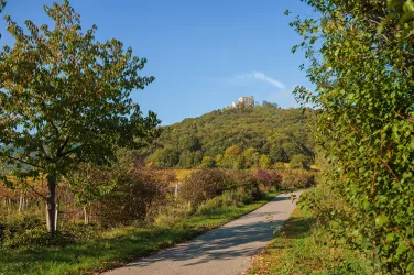 Ein malerischer Weg führt durch grüne Landschaften zu einer Anhöhe mit einer Burg. Die Umgebung ist von Bäumen und buntem Laub umgeben.