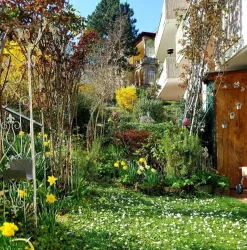 Garten im Frühling