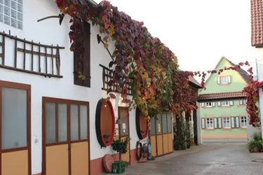 Weingut Schäfer (© WG Schäfer)