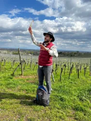 Ein Mann steht in einem Weinberg und hält ein Objekt hoch. Der Himmel ist bewölkt und es gibt viele Rebstöcke im Hintergrund.