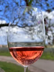 Ein Glas Roséwein vor einer malerischen Landschaft. Im Hintergrund sind Bäume und ein blauer Himmel zu sehen.