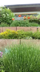 Garten 2017