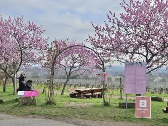 Mandellehrpfad Beginn Kopie