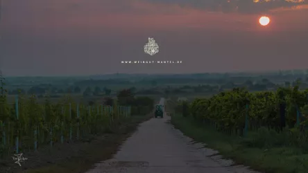 © Weingut Mantel