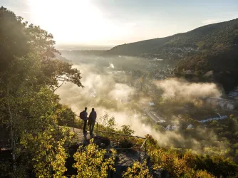Blick von der Burgruine Wolfsburg Richtung Neustadt und Rheinebene