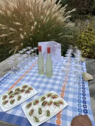 Ein hübscher Tisch im Freien mit einer karierten Tischdecke, auf dem flache Gläser und zwei Flaschen stehen. Auf zwei Tellern sind kleine Snacks angerichtet.