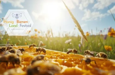 Eine sonnige Wiese mit Blumen und Bienen, die auf einer Honigwabe landen. Im Hintergrund ist ein klarer Himmel zu sehen.
