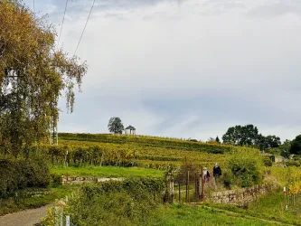Eine malerische Landschaft mit Weinbergen und einem kleinen Pavillon im Hintergrund. Zwei Personen gehen entlang eines schmalen Weges.