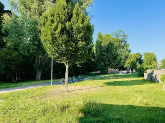 Ein grüner Park mit Bäumen und einer ruhigen Wiese. Im Hintergrund sind Menschen auf einem Weg zu sehen.