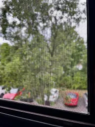 Ein Blick durch das Fenster auf einen Parkplatz mit mehreren Autos. Im Hintergrund sind grüne Bäume zu sehen. Der Fokus liegt auf Insektenschutz.