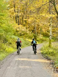 Zwei Radfahrer fahren einen Weg in einem herbstlichen Wald. Die Bäume sind leuchtend gelb und grün.