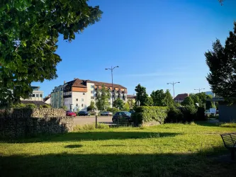 Eine grüne Wiese mit Bäumen und einem klaren blauen Himmel. Im Hintergrund sind Wohngebäude und Straßenlaternen zu sehen.