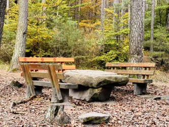 Eine Sitzgelegenheit aus Holz und Stein im Wald. Bunte Blätter der Bäume umgeben den Platz und verleihen dem Bild eine herbstliche Atmosphäre.