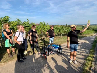 Eine Gruppe von Menschen steht in einem Weinberg und hört einem Anführer zu. Er hält ein Glas in der Hand und erklärt etwas während des sonnigen Tages.