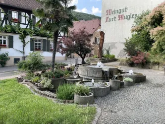 Eine gemütliche Weinberglandschaft mit einem schönen Wasserspiel im Vordergrund. Im Hintergrund sind traditionelle Gebäude und Pflanzen zu sehen.