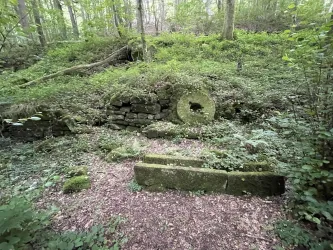 Eine bewachsene Ruine im Wald mit Moos und natürlichen Materialien. Einige Steine und eine runde Öffnung sind sichtbar.
