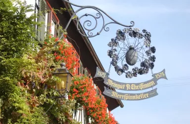 Weingut (© WG A. Christmann)