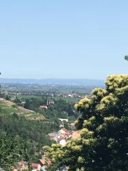Blick über die Rheinebene