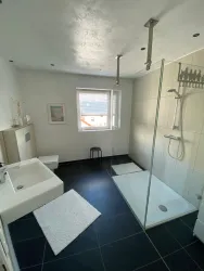 Ein modernes Badezimmer mit einer Dusche und einem Waschbecken.