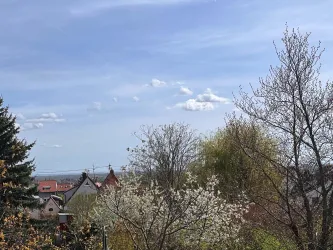 Der Blick in die Rhein-Ebene - eine malerische Landschaft mit blühenden Bäumen.