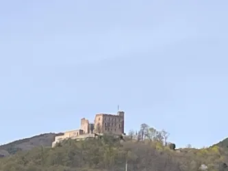 Blick auf das Hambacher-Schloss