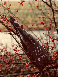 Beispiel Wein ©Weingut Bergdolt-Reif und Nett