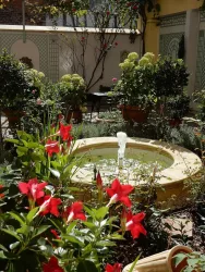 Brunnen