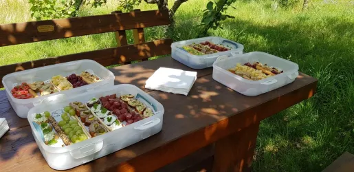 Bunte Platten mit verschiedenen Snackvariationen stehen auf einem Holztisch im Freien. Im Hintergrund sind grüne Wiesen und Bäume zu sehen.