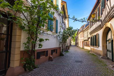 Eine malerische Straße mit charmanten Häusern und einer Pflanze, die an einer Wand wächst. Die schmalen Gassen sind gepflastert und laden zu einem Spaziergang ein.