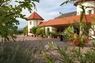 Weingut Schäfer (© Weingut Schäfer)
