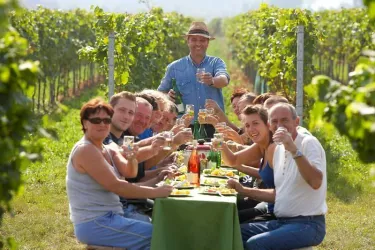 Feiern in den Weinbergen (© Weingut Schäfer)
