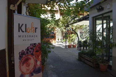 Ein einladender Hof mit Pflanzen und Tischen. Im Vordergrund ist ein Banner des Weinguts Klohr zu sehen.