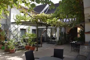 Ein gemütlicher Innenhof mit einer Terrasse und vielen Pflanzen. Über der Terrasse wachsen Weinreben und es gibt Tische und Stühle zum Entspannen.