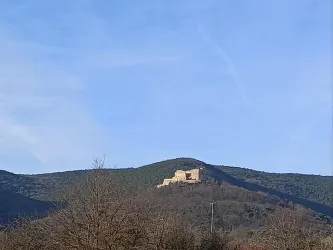 Blick auf das Hambacher Schloss