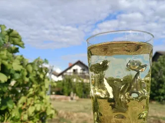 Eine Weinschorle im typischen Dubbeglas gehört zur Pfalz wie die Weinberge rund um Diedesfeld – Genuss an der Deutschen Weinstraße.