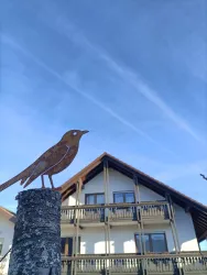 Blauer Himmel hinterm Gästehaus