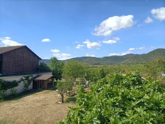 Vom Balkon von Zimmer 5 blickt man über Gärten und Weinberge von Diedesfeld auf den Pfälzerwald.