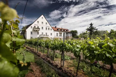 WG Völcker © Weingut Völcker